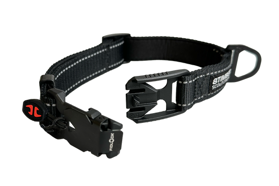 Scout Dog Collar by 8TIMBER™