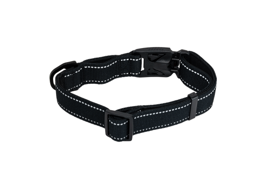 Scout Dog Collar by 8TIMBER™