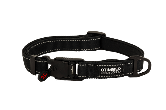 Scout Dog Collar by 8TIMBER™