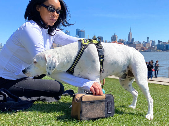 Reach Pack by 8TIMBER™